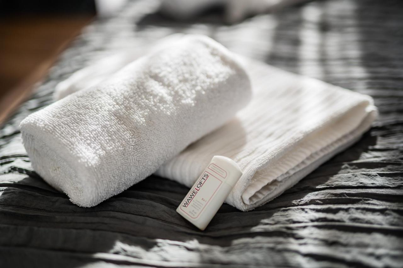 クラクフWegierska Luxury Loft Waweloftsアパートメント エクステリア 写真